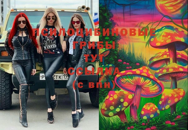 индика Алексеевка