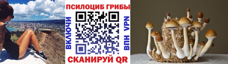 Псилоцибиновые грибы мухоморы Тетюши