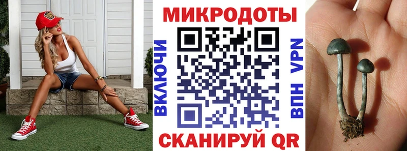 кракен как войти  Тетюши  Галлюциногенные грибы мухоморы 